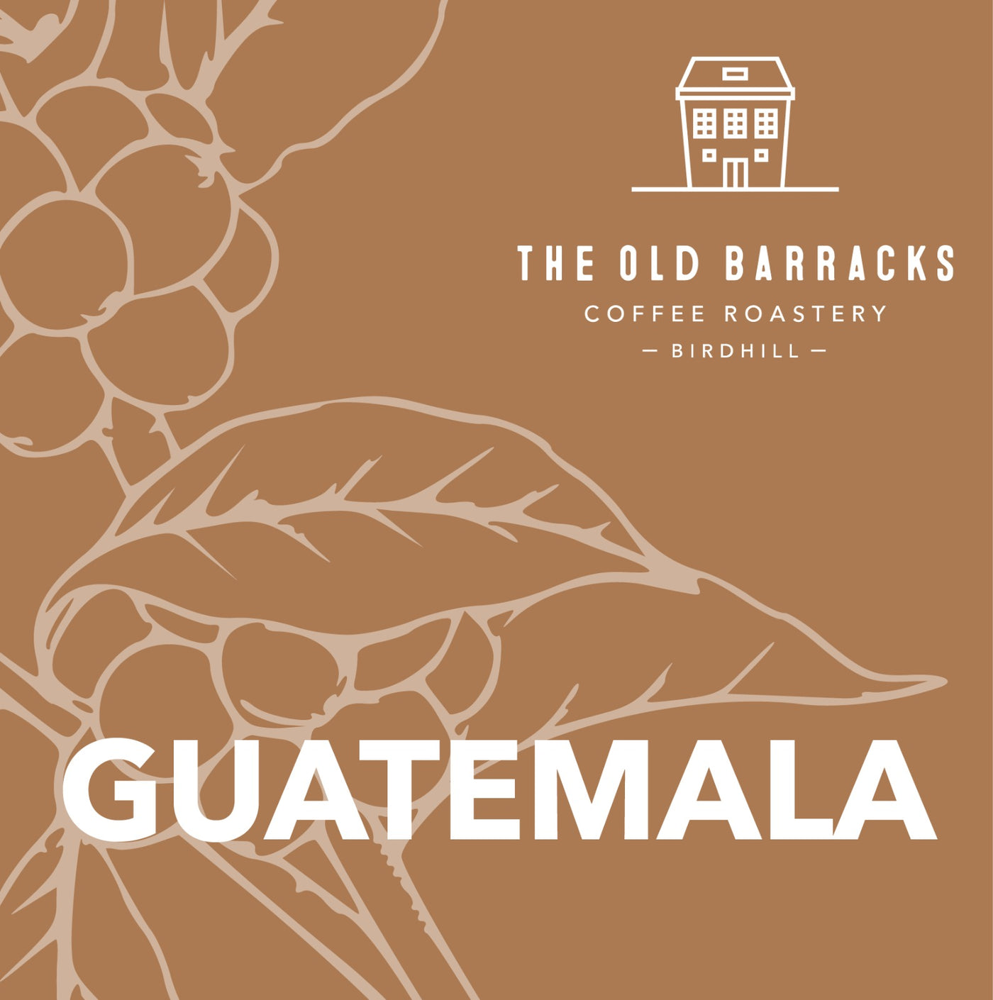 Guatemala, Finca La Soledad