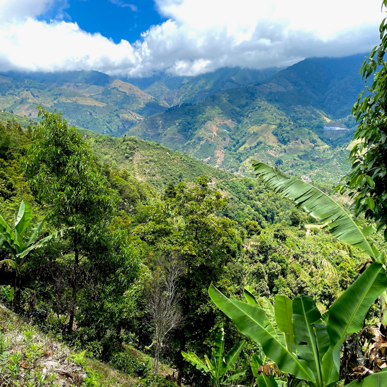 COSTA RICA, La Guaca