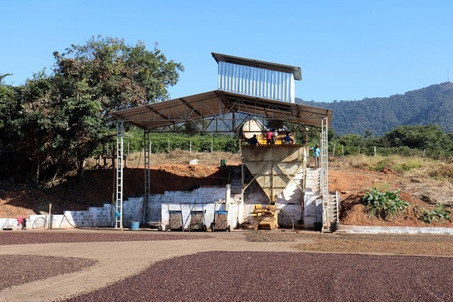 Brazil,Pinhal