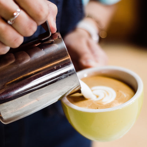 Beginner Latte  Art Training