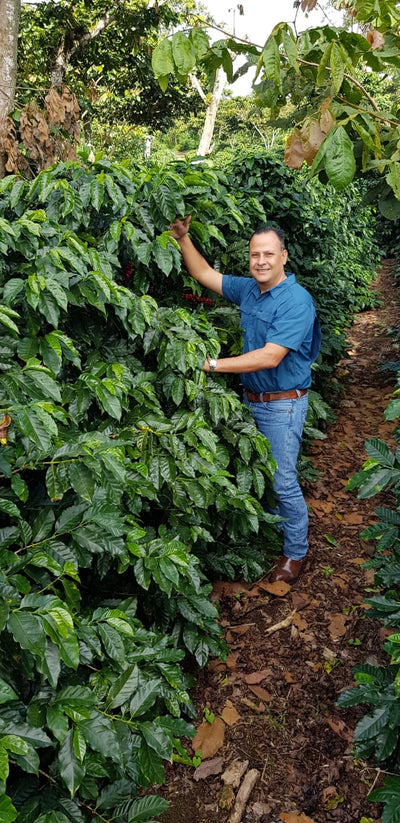 Nicaragua, Beneficio Las Nubes