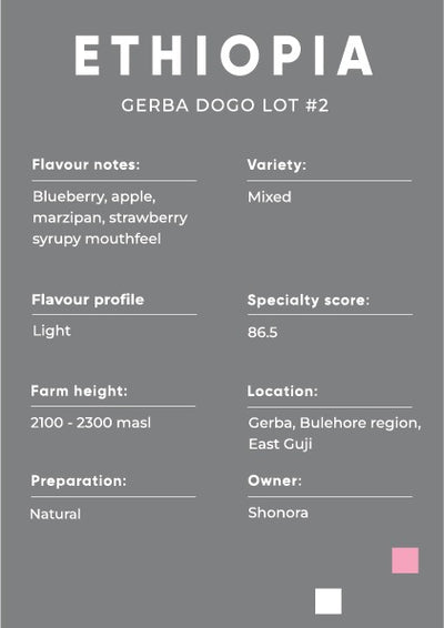 GUJI Ethiopia, Gerba Dogo Lot #2